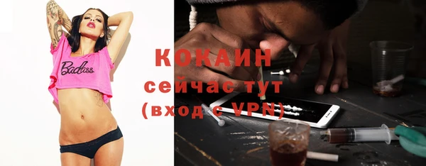 дмт Чегем