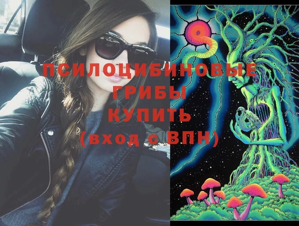 PSILOCYBIN Абаза