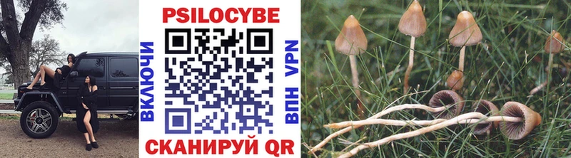 KRAKEN как войти  Невинномысск  Галлюциногенные грибы Psilocybine cubensis  где можно купить  